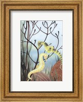 Framed Seahorse Serenade II