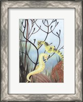 Framed Seahorse Serenade II