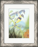 Framed Seahorse Serenade III