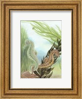 Framed Seahorse Serenade IV