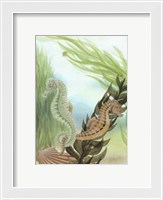 Framed Seahorse Serenade IV