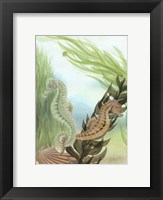 Framed Seahorse Serenade IV