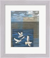Framed Three White Gulls I