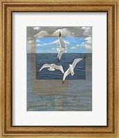 Framed Three White Gulls II