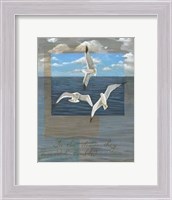 Framed Three White Gulls II