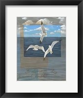 Framed Three White Gulls II