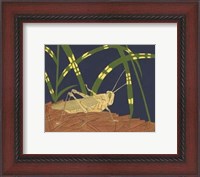 Framed Ornamental Grasshopper I