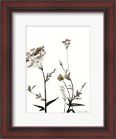 Framed Watermark Wildflowers I