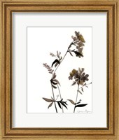 Framed Watermark Wildflowers II