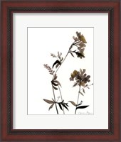 Framed Watermark Wildflowers II