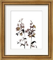 Framed Watermark Wildflowers III