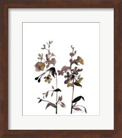 Framed Watermark Wildflowers III