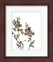 Framed Watermark Wildflowers IV