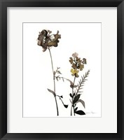 Framed Watermark Wildflowers V