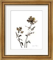 Framed Watermark Wildflowers VI