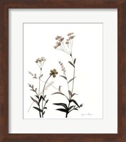 Framed Watermark Wildflowers VII