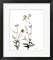 Framed Watermark Wildflowers VII