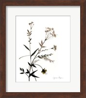 Framed Watermark Wildflowers VIII