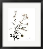 Framed Watermark Wildflowers VIII