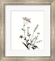 Framed Watermark Wildflowers X