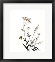 Framed Watermark Wildflowers X