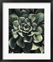 Lunar Succulent I Framed Print