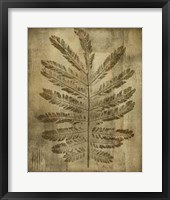 Sepia Drenched Fern I Framed Print