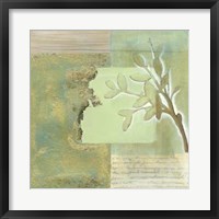 Spring Memento II Framed Print