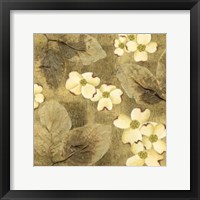 Framed Sun-Kissed Dogwoods I