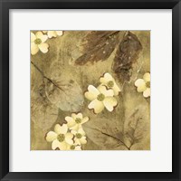 Sun-Kissed Dogwoods II Framed Print