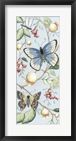Butterfly Sky I Framed Print