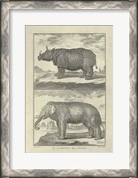 Framed Elephant Rhino