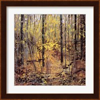 Framed Deep Wood October