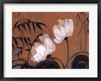 Framed White Blossom II