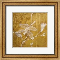 Framed Wings Damask IV