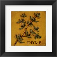 Framed Thyme