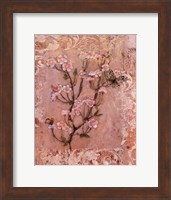 Framed Butterflies And Blossoms I