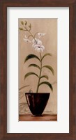Framed Asian Orchid I