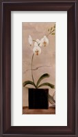 Framed Asian Orchid II