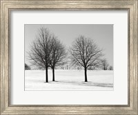 Framed Silhouettes Of Winter I