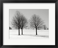 Silhouettes Of Winter I Framed Print