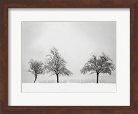 Framed Silhouettes Of Winter II