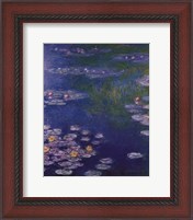 Framed Waterlilies at Giverny