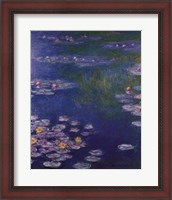 Framed Waterlilies at Giverny