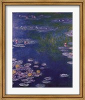 Framed Waterlilies at Giverny