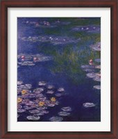 Framed Waterlilies at Giverny