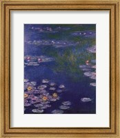 Framed Waterlilies at Giverny