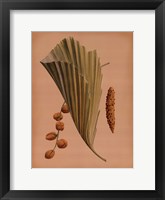 Framed Palm Frond III