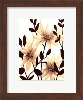 Framed Blossoming Silhouette II