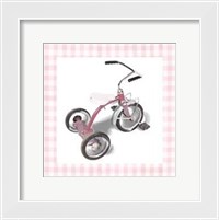 Framed Krista's Tricycle